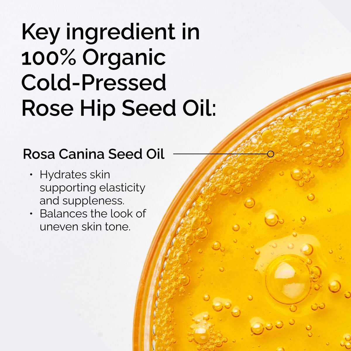 100-organic-cold-pressed-rose-hip-seed-oil-t1 FY25-D41247-ORD-Web-PDP-100-Rose-Hip-Oil-1x1-EN-2.jpg