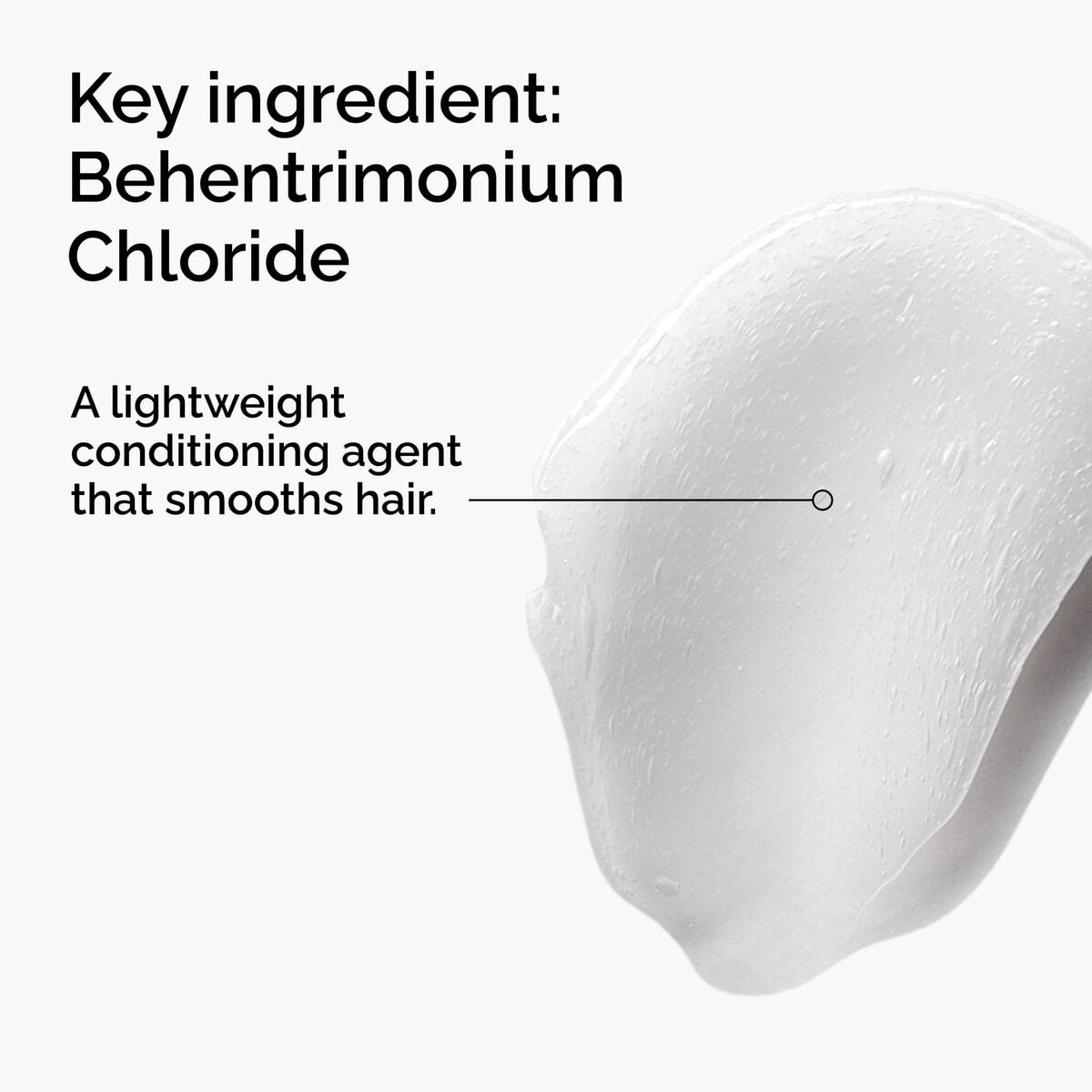 behentrimonium-chloride-2-conditioner-u3 FY25-D41247-ORD-Web-PDP-BTC-1x1-EN-2a.jpg
