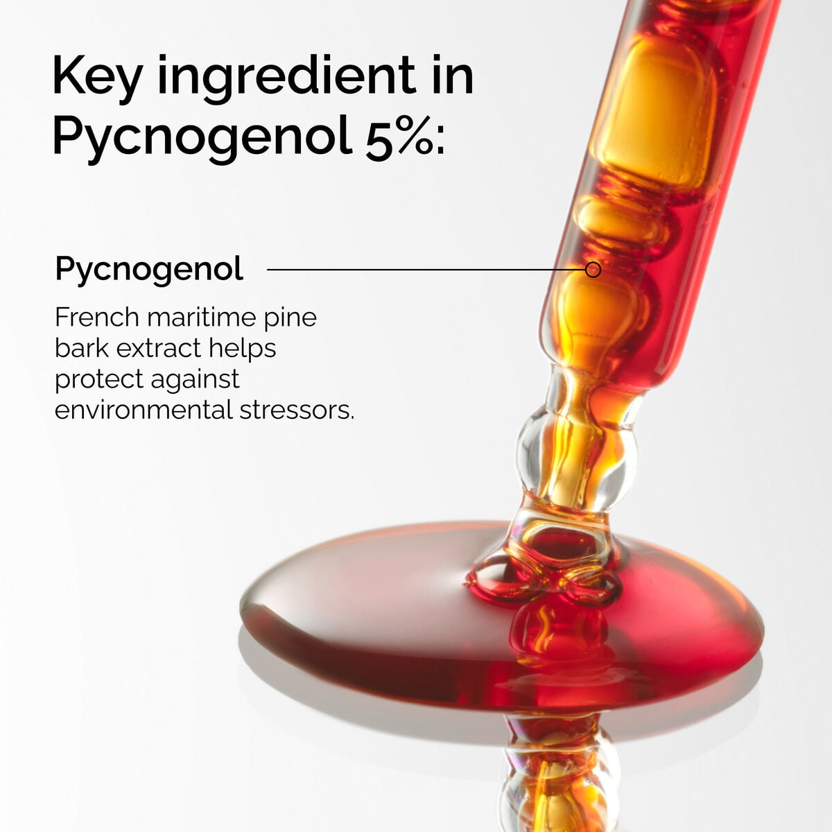 pycnogenol-5-a0 FY25-D41247-ORD-Web-PDP-Pyc-5pct-1x1-EN-2a.jpg