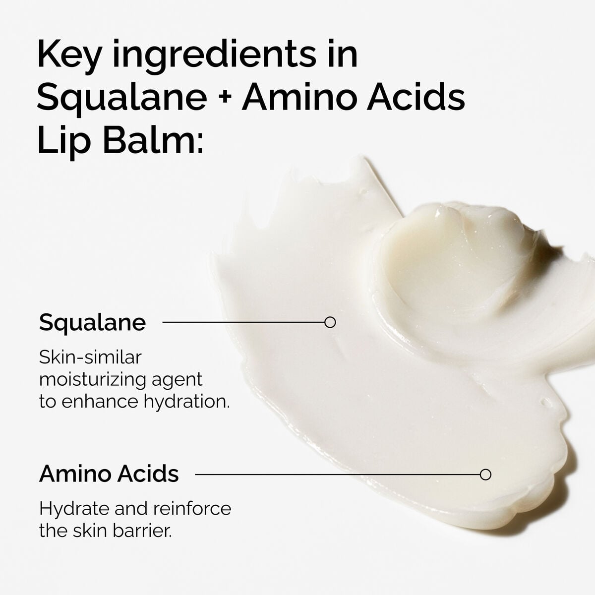 squalane-amino-acids-lip-balm-t3 FY25-D41247-ORD-Web-PDP-Sql-Amino-Lip-1x1-EN-2a.jpg