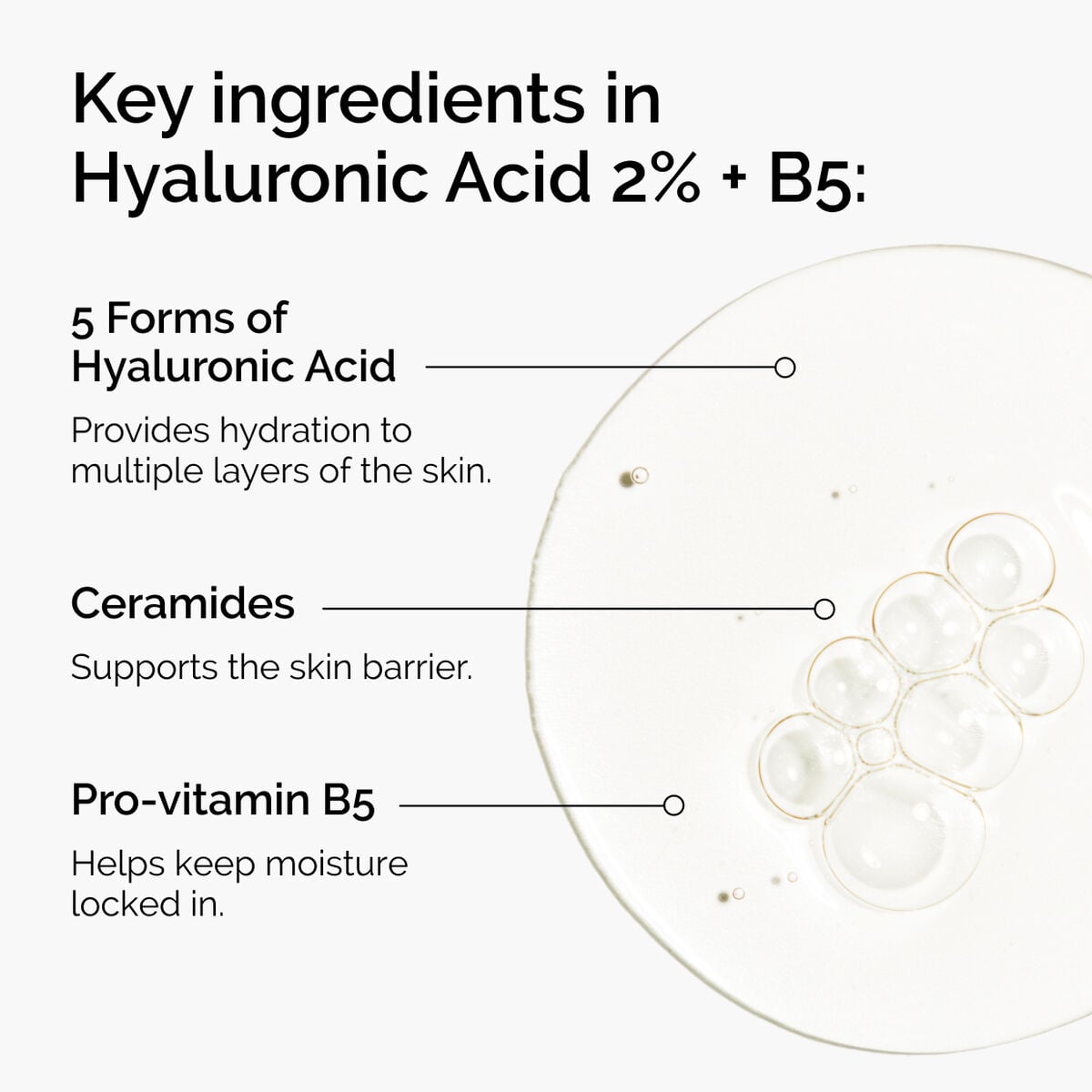 hyaluronic-acid-2-b5-with-ceramides-l3 ord-hyaluronic-acid-2pct-b5-hydrating-serum-ingredients-graphic.jpg