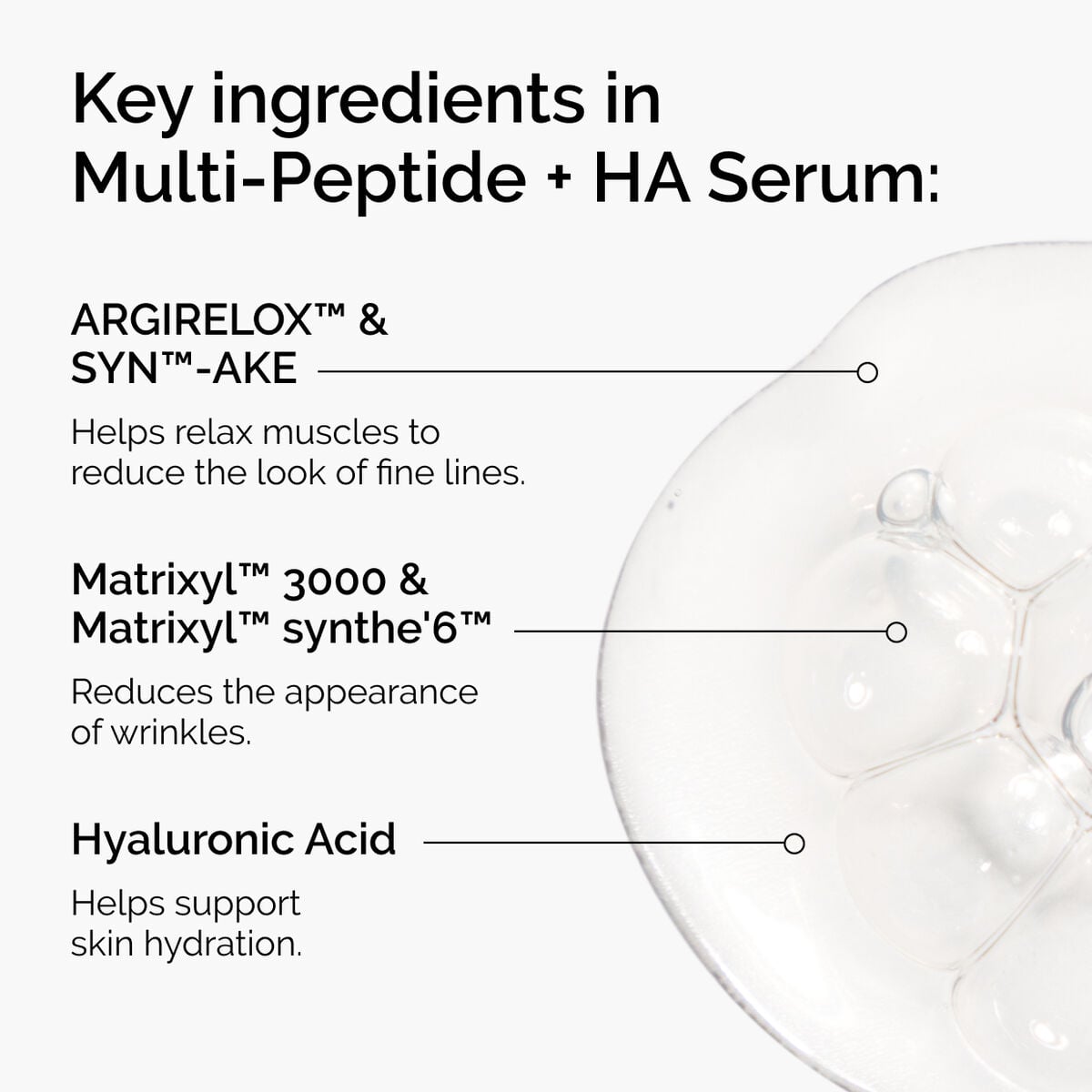 the-age-support-set-x1 ord-multi-peptide-ha-ingredients-graphic.jpg
