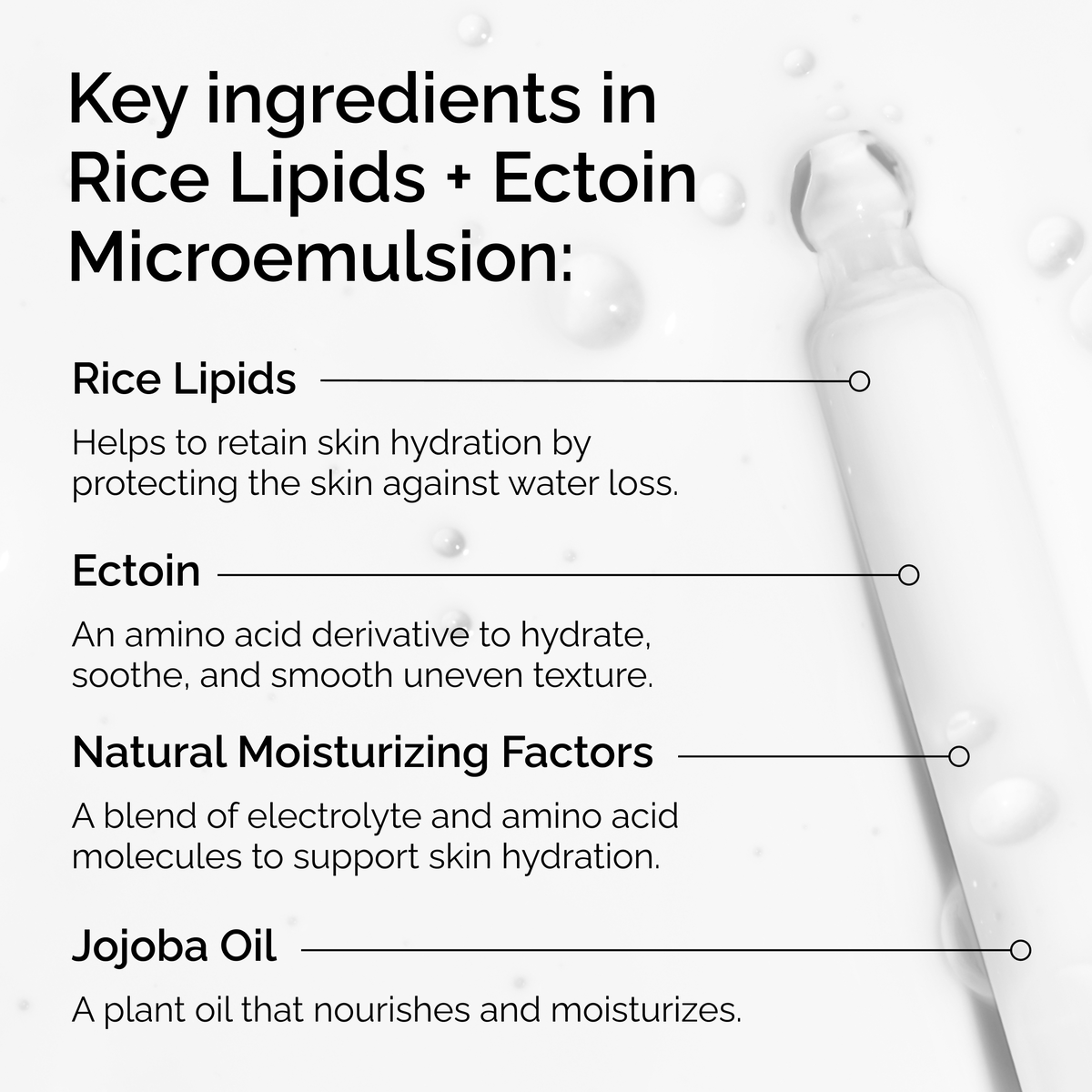 rice-lipids-ectoin-microemulsion-m9 ord-rice-lipids-ectoin-microemulsion-key-ingredients.png