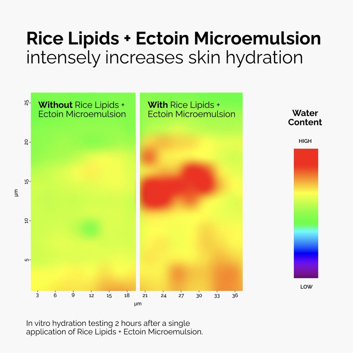 rice-lipids-ectoin-microemulsion-m9 ord-rice-lipids-ectoin-microemulsion-thermal-before-after.jpg